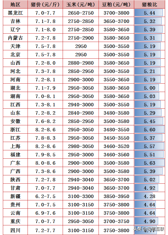 卖一头猪亏1000元！又一坏消息确定！养殖户的考验才刚开始