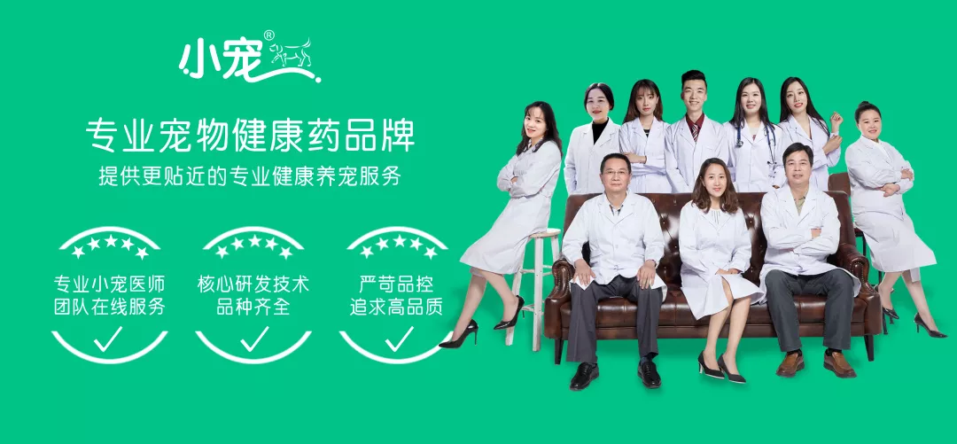 狗狗不停撓癢，是身上有跳蚤嗎？寵物醫生詳解狗狗瘙癢的原因防治
