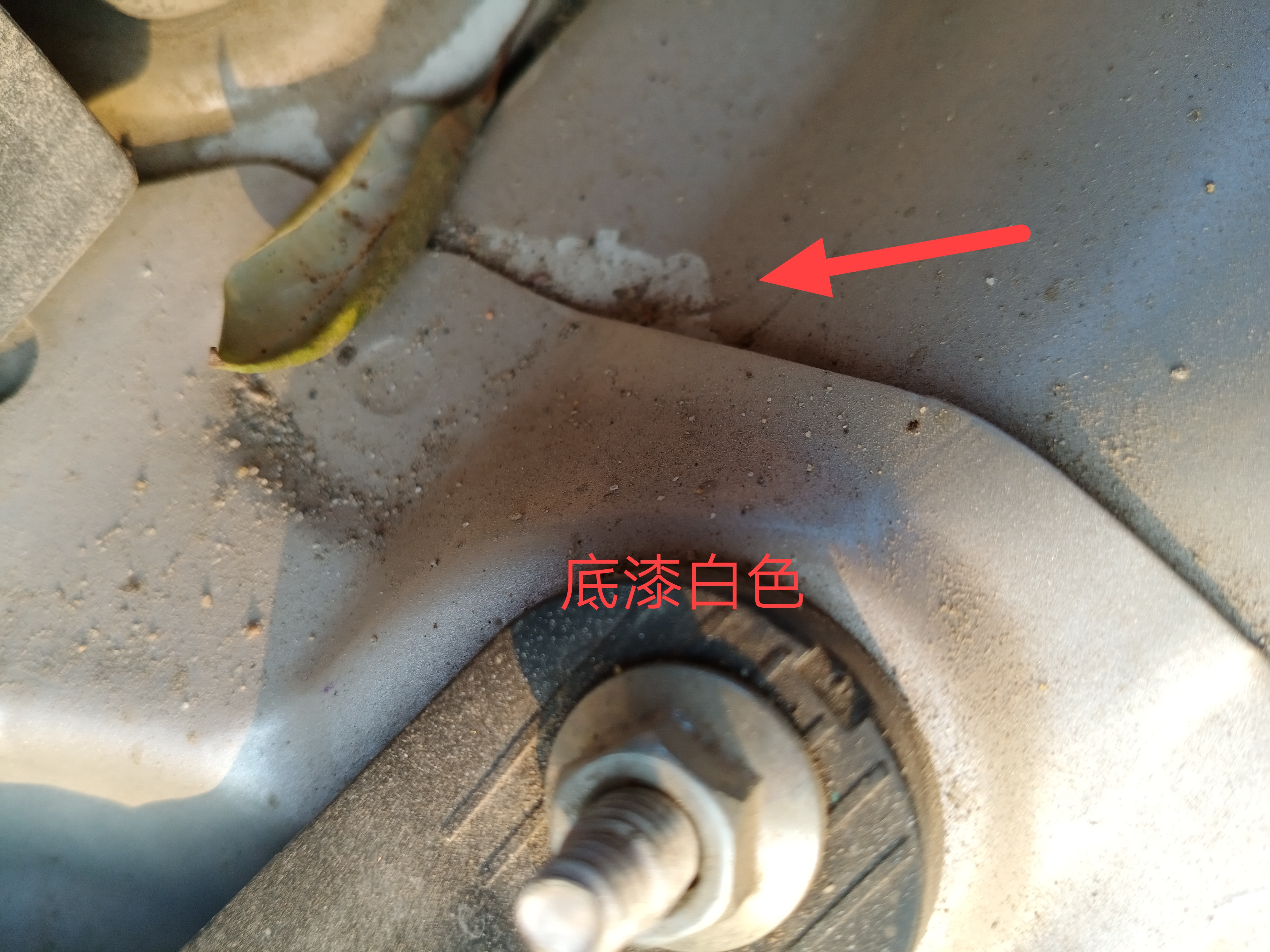 傷害性極大，看來朋友推薦的車子不可信