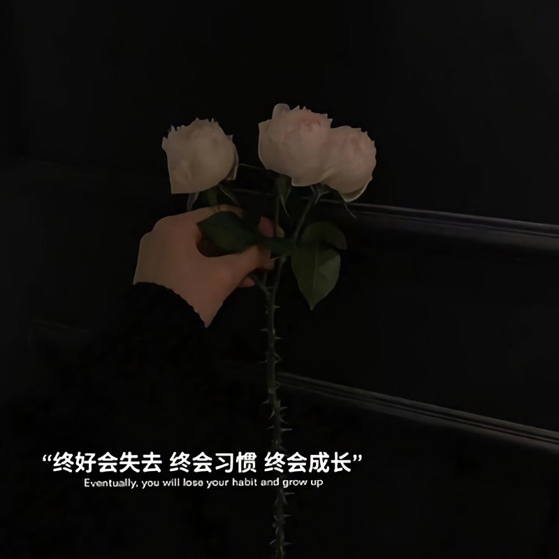 2020最火朋友圈背景图 tpo4#朋友圈壁纸图#