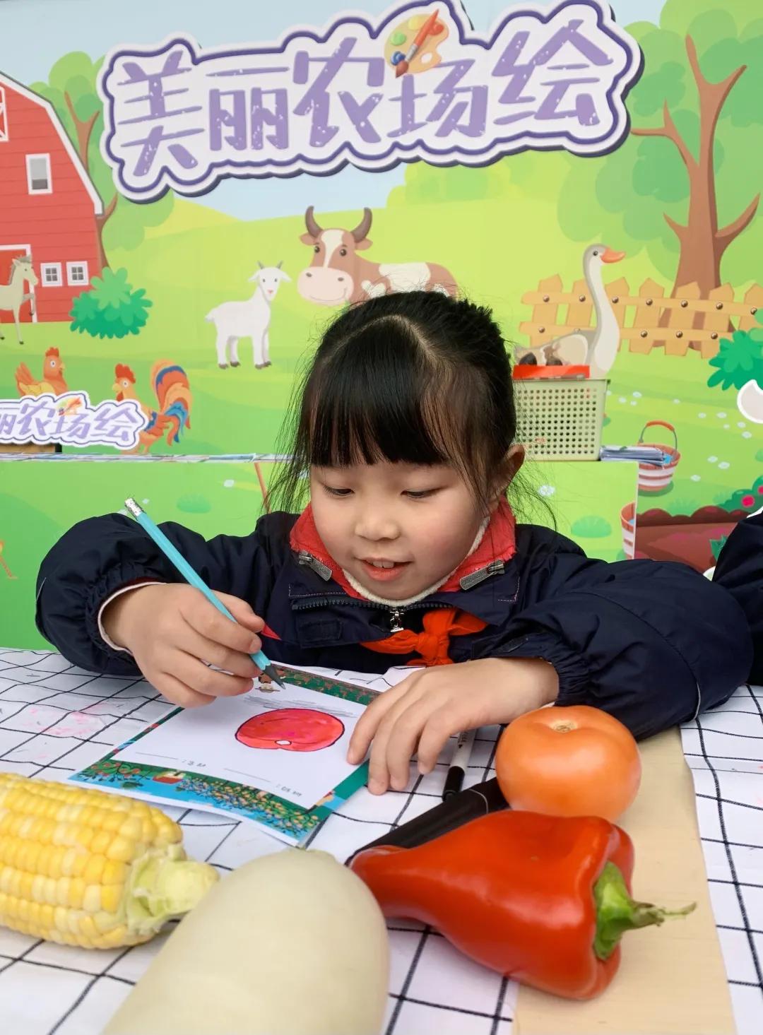 成都市华阳中学附属小学——三年级期末综合素质测评