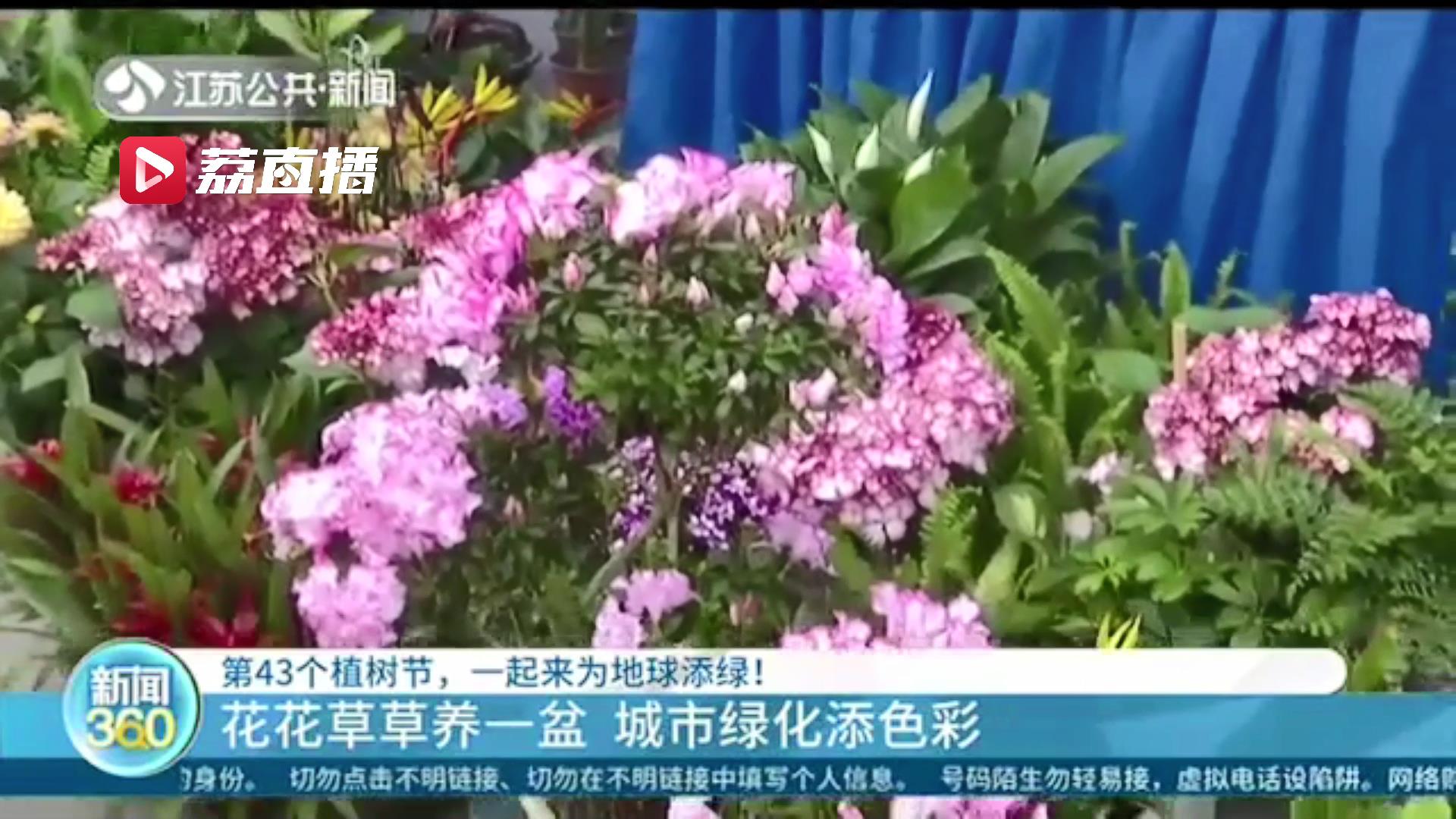 第43个植树节，江苏各地植树增绿为城市绿化“添砖加瓦”