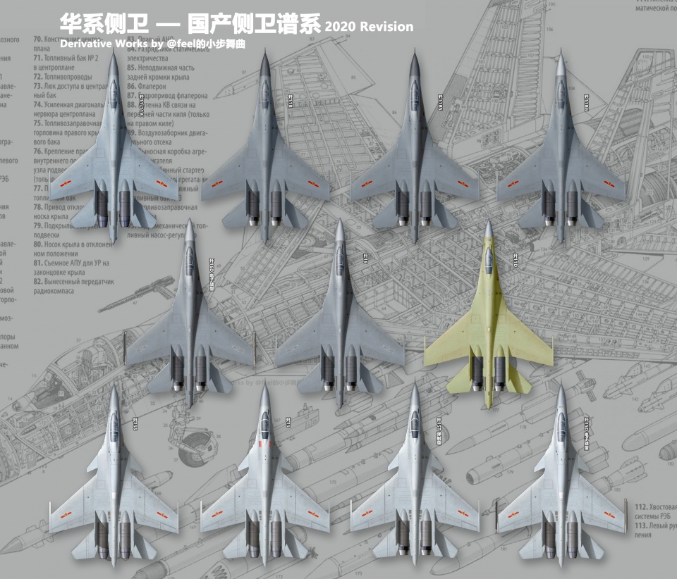 20种，中国苏27原来这么多，歼11歼15歼16就有14型
