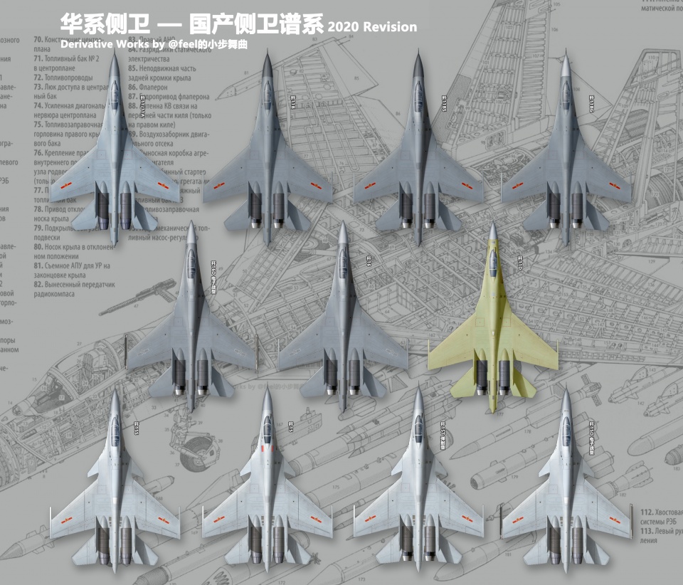 20种，中国苏27原来这么多，歼11歼15歼16就有14型