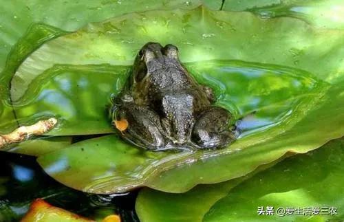 现在能闷声发大财的行业？