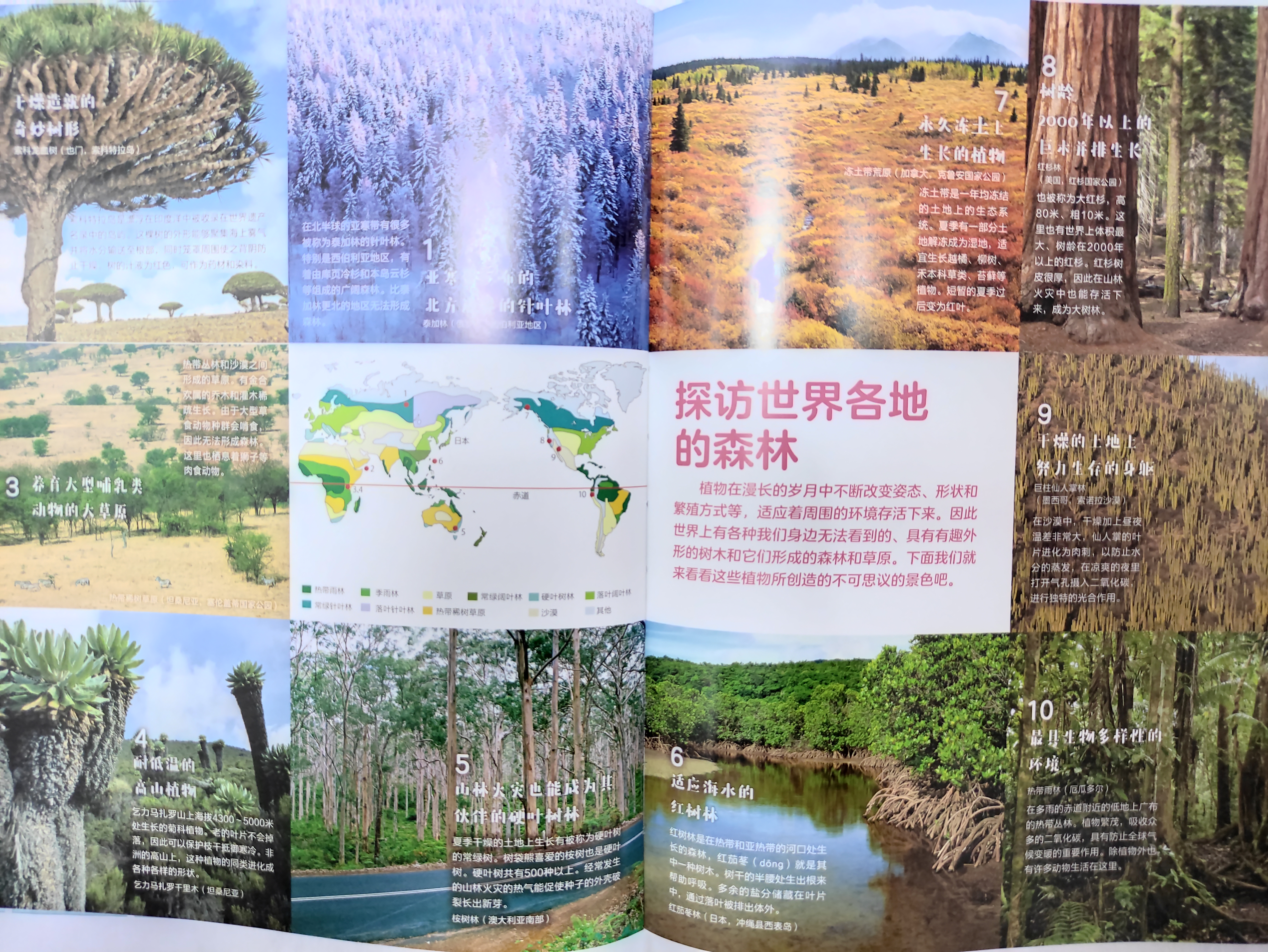 如何让孩子更好地学习科学 这些超硬核的科普绘本了解一下 全网搜