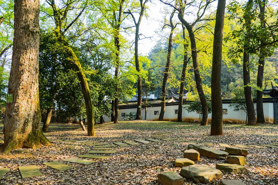 明代国师刘伯温风水杰作，浙江俞源古村 中国唯一的太极星象村