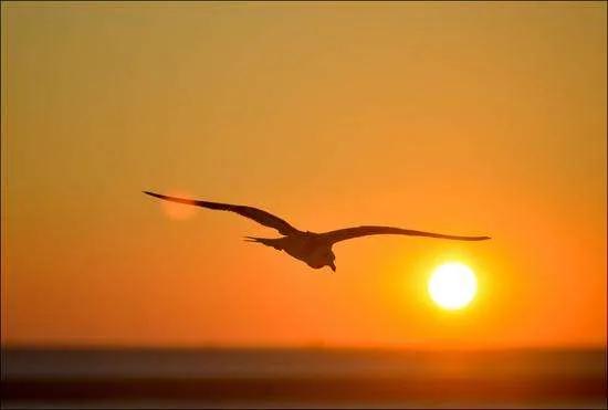 什么样的人适合创业？不明白这几条，劝你别创业