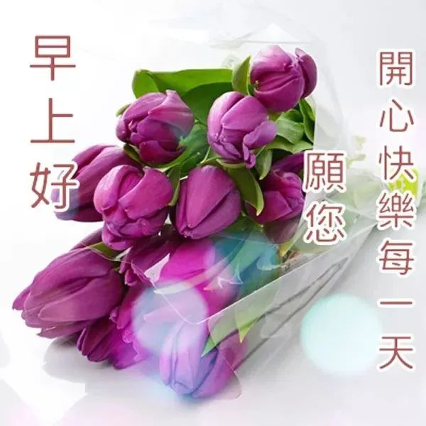 早上好问候祝福图片带字，最美清晨早安动态表情图片图片