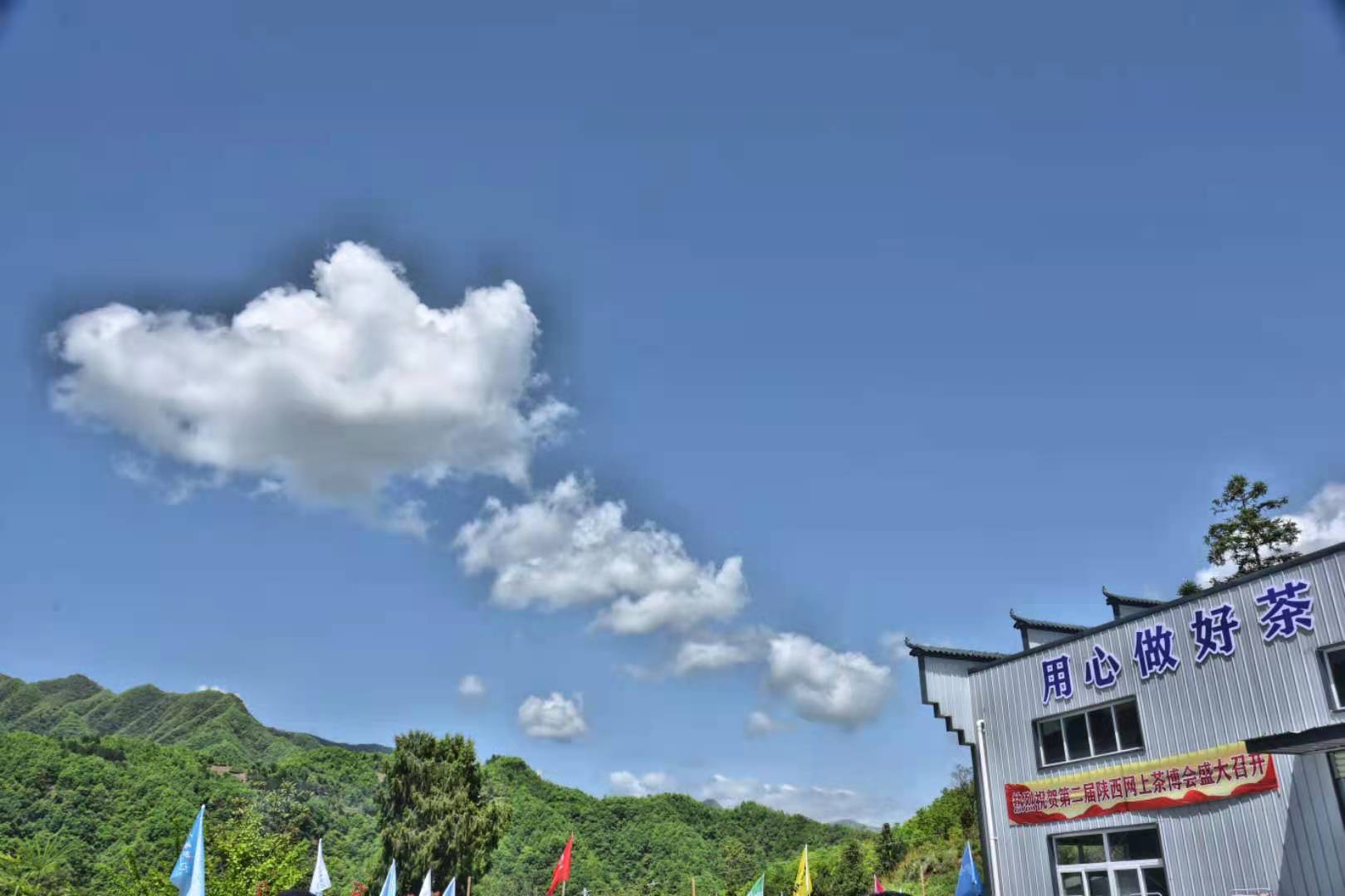 镇巴花园社区“长岭望月”茶叶品牌后面的感人故事