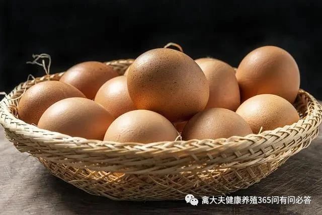 鸡蛋卖出“白菜价”，为什么跌这么狠？