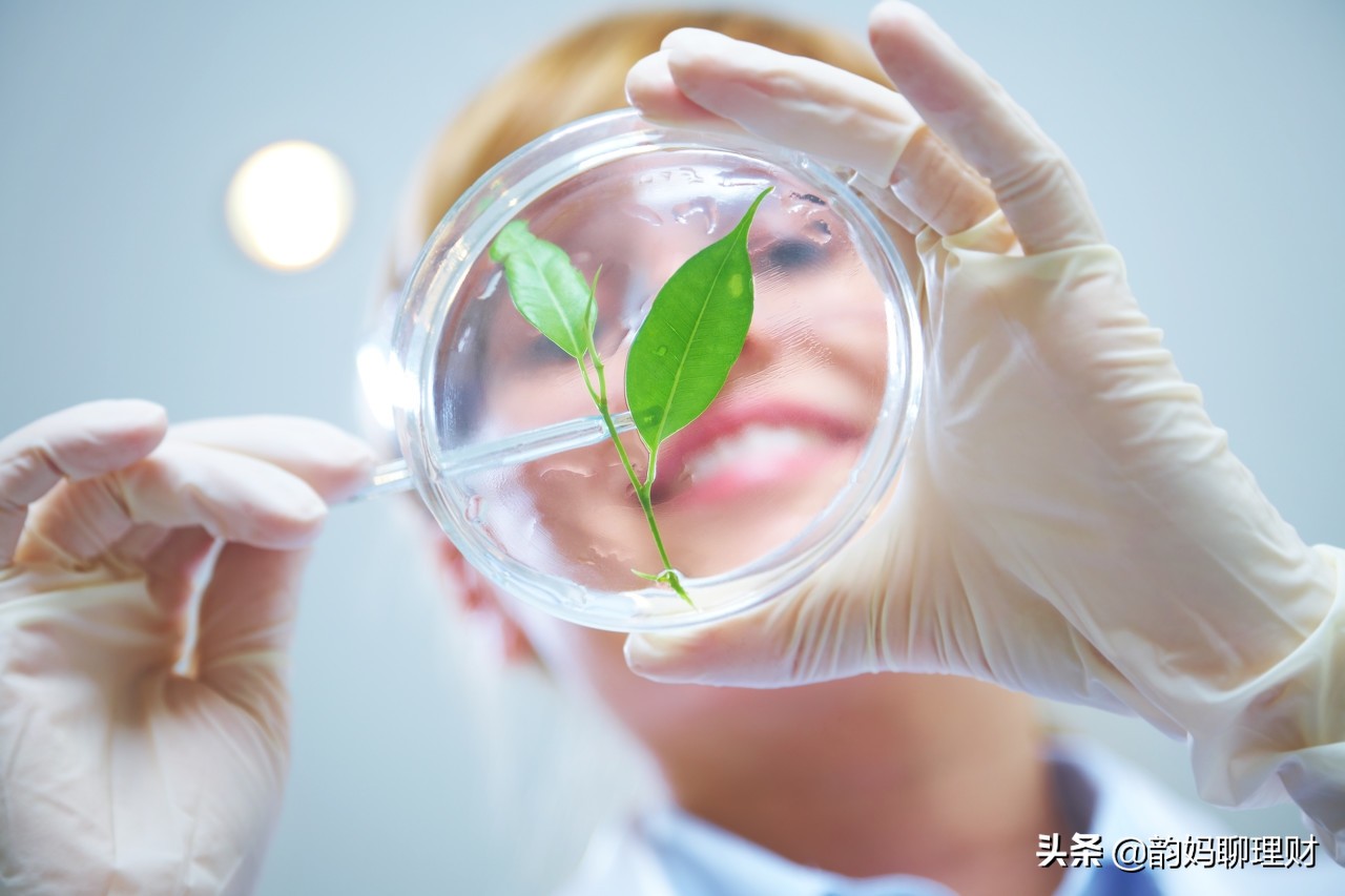 生物医药：被迫定投低吸！中期看跌长期看涨