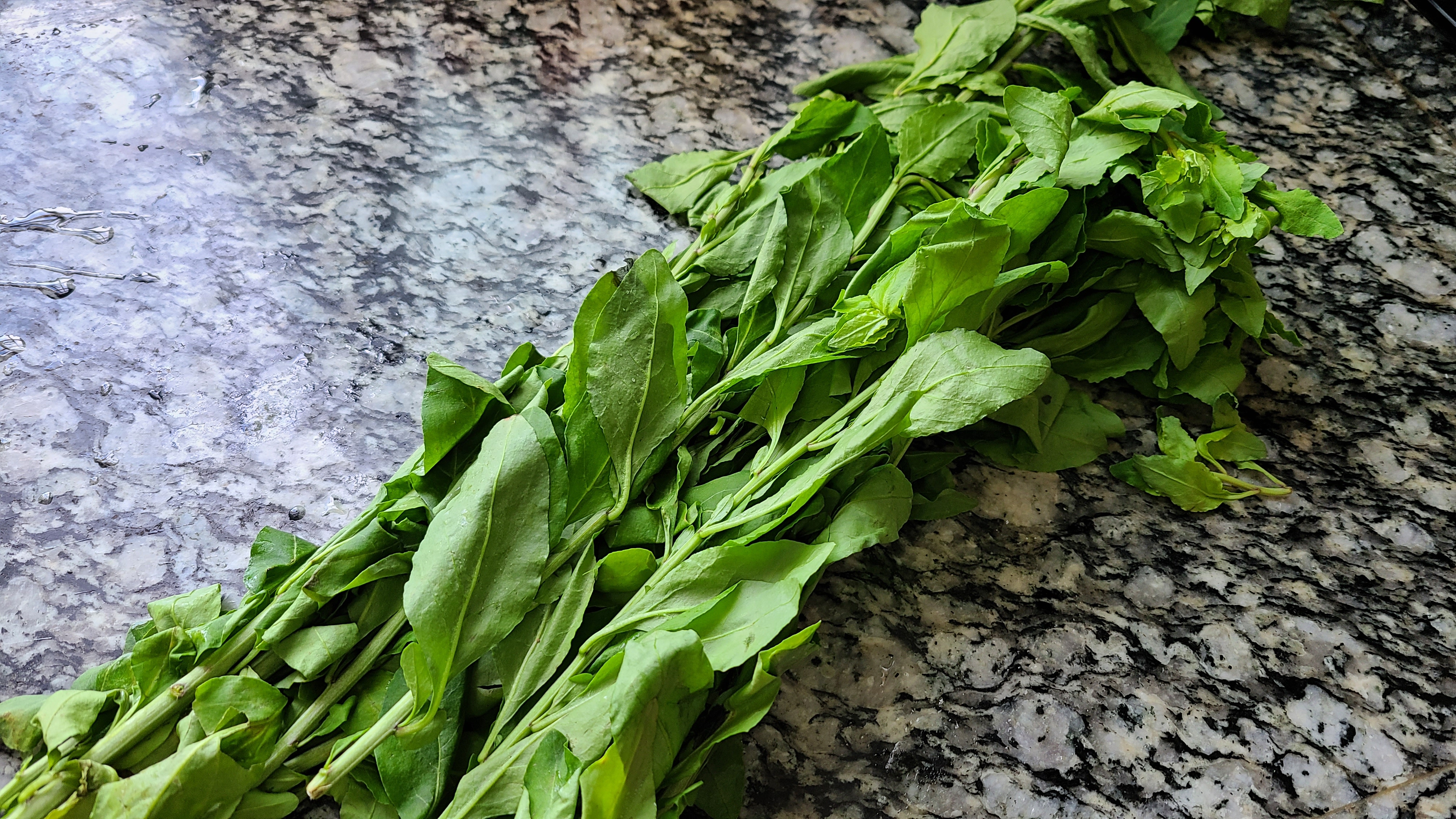 豬雜湯的做法，清淡又好吃的一道廣東美食，不油不膩味道好