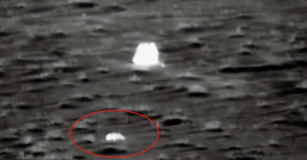 热议-嫦娥五号着陆瞬间:小动物抢镜,预示着什么、到底是玉兔还是沙狐