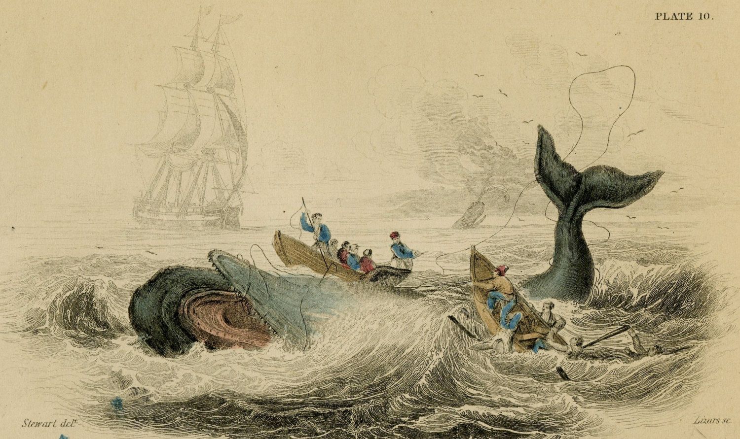 17世纪的北美“捕鲸人”，没有冰箱，那么多鲸肉能吃完吗？