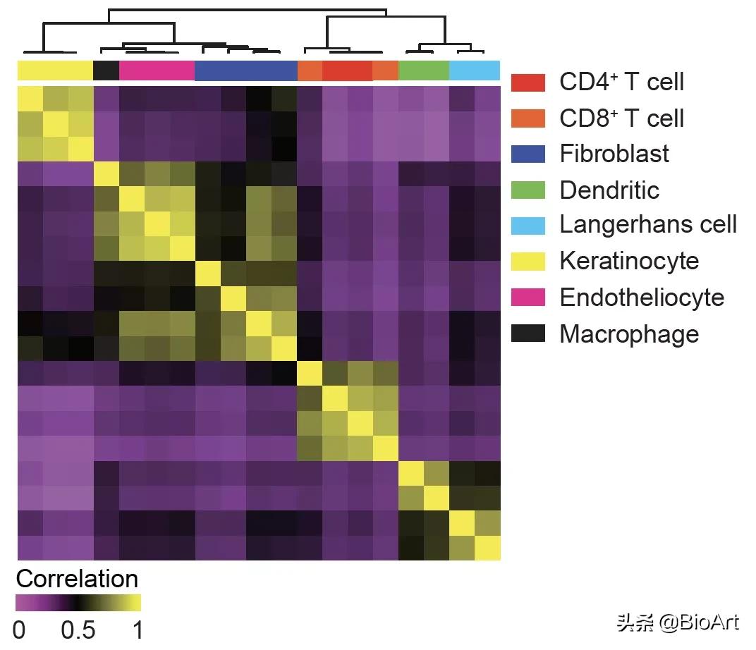 Qu Kun team reveals the main pathogenic cells of systemic sclerosis ...