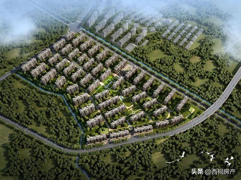 均价3.5万/㎡，江核VS紫核怎么选？