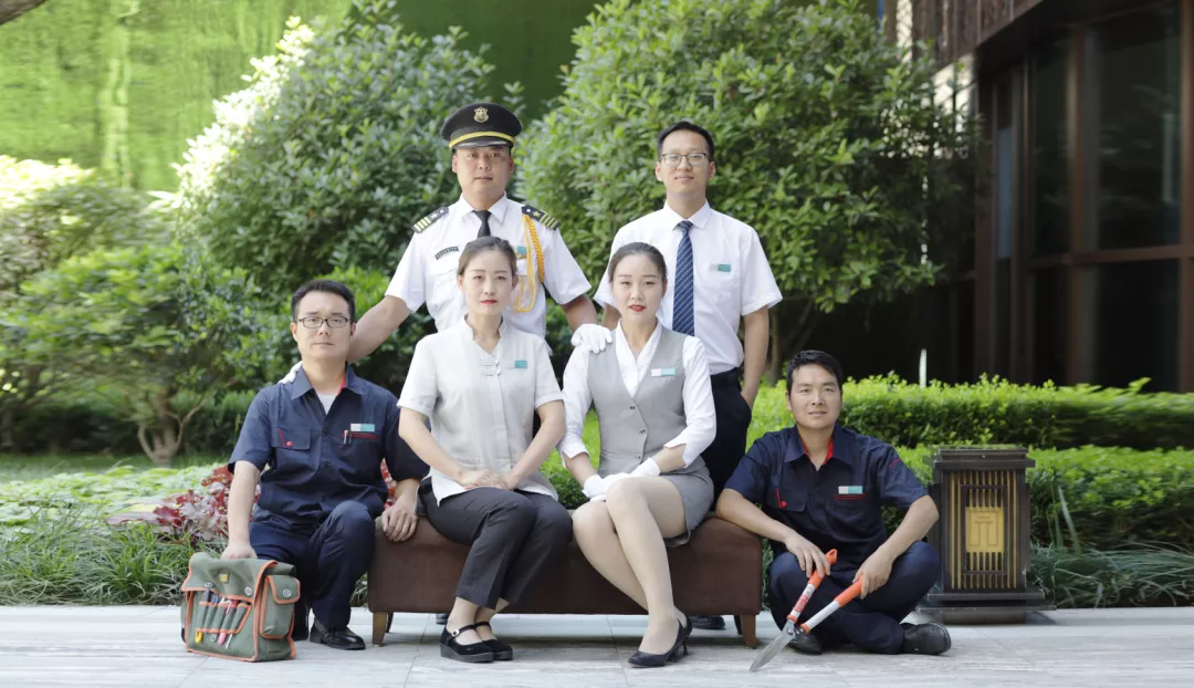 龙记泰信品牌价值81亿人民币，荣膺中指院品牌价值TOP36强