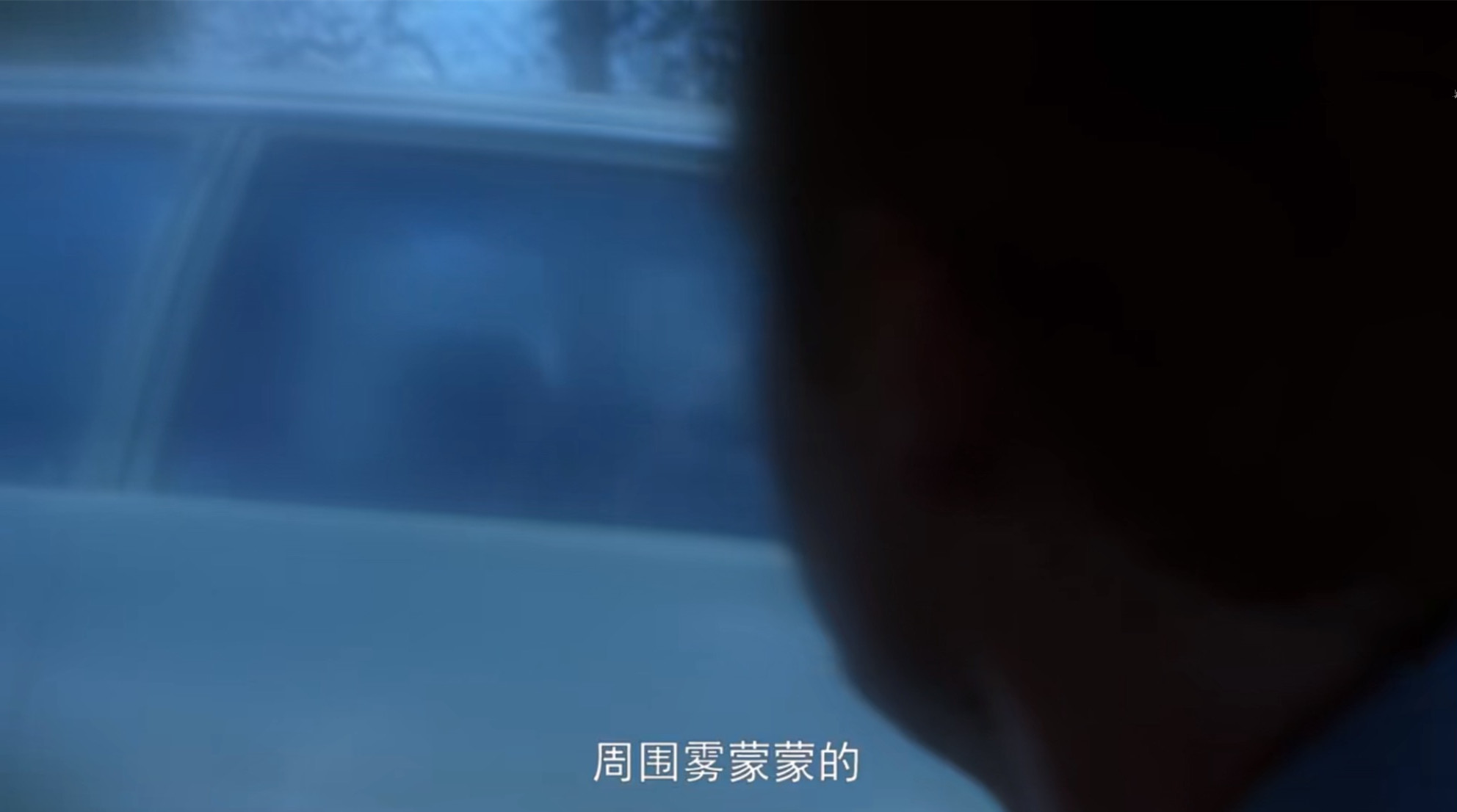 美国圣诞老人谋杀案：20个人看到凶手，20年后才敢讲出原因