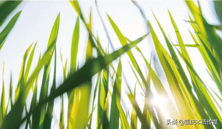 韩金明董事长受邀参加“世界经济论坛新领军者社区”