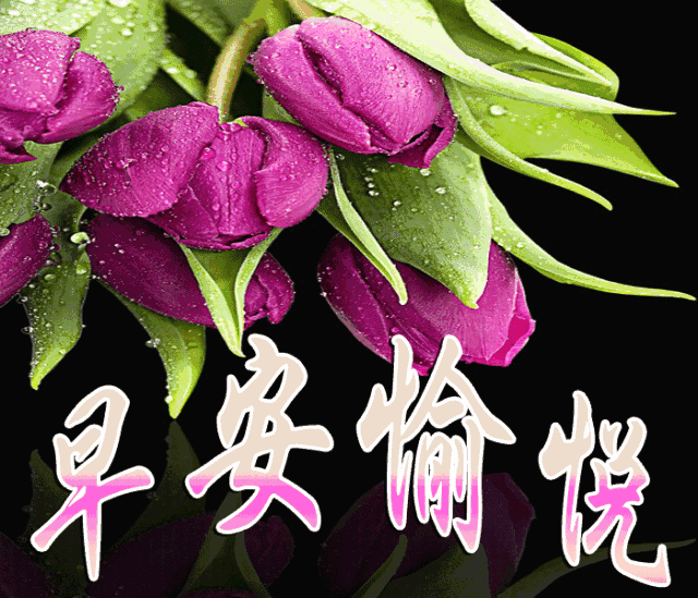 朋友们早上好祝福语图片合集 早上好新版漂亮的表情包图片