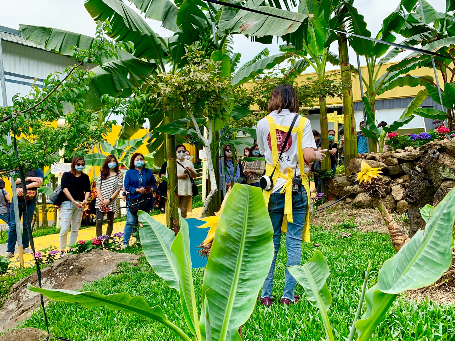 集集香蕉观光工厂对产业旅游的启示