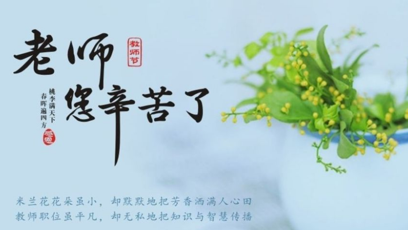 致敬老师(诗歌)