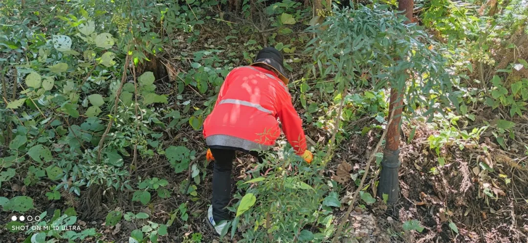 鸡公山｜“十一”国庆小长假圆满收官