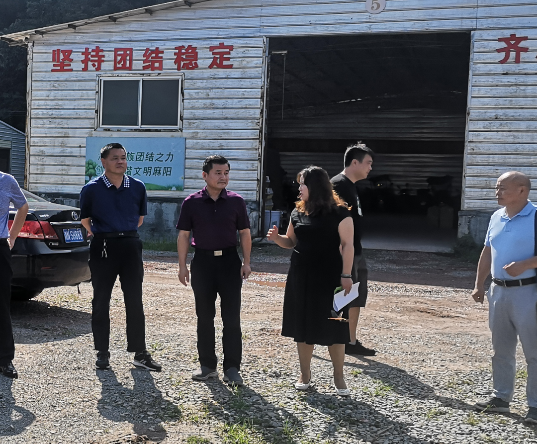 向守清深入麻阳督办代表建议办理工作