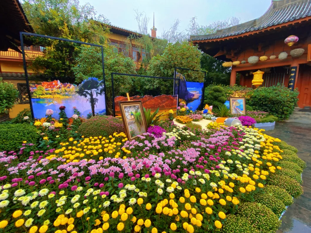 中国开封第38届菊花文化节开幕