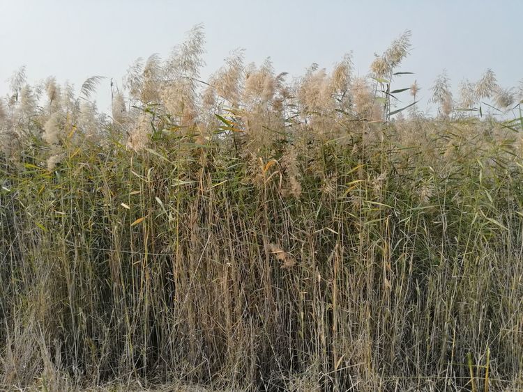 中国著名雕塑家邱天老师告诉您：钢铁装置雕塑是怎么做成的！（三）