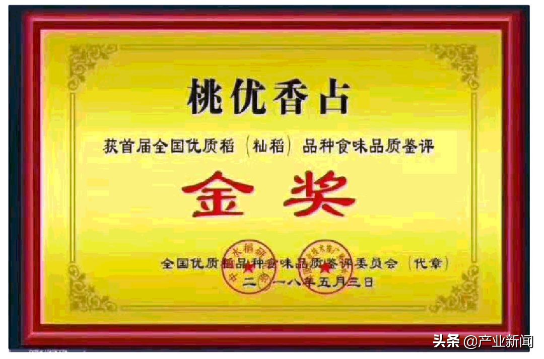 浅谈影视明星杨幂和桃优香占大米的相似之处