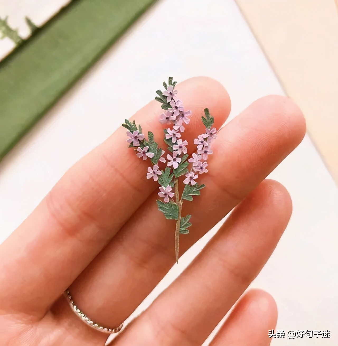 微信最红的人生感悟句子，看透世间百态