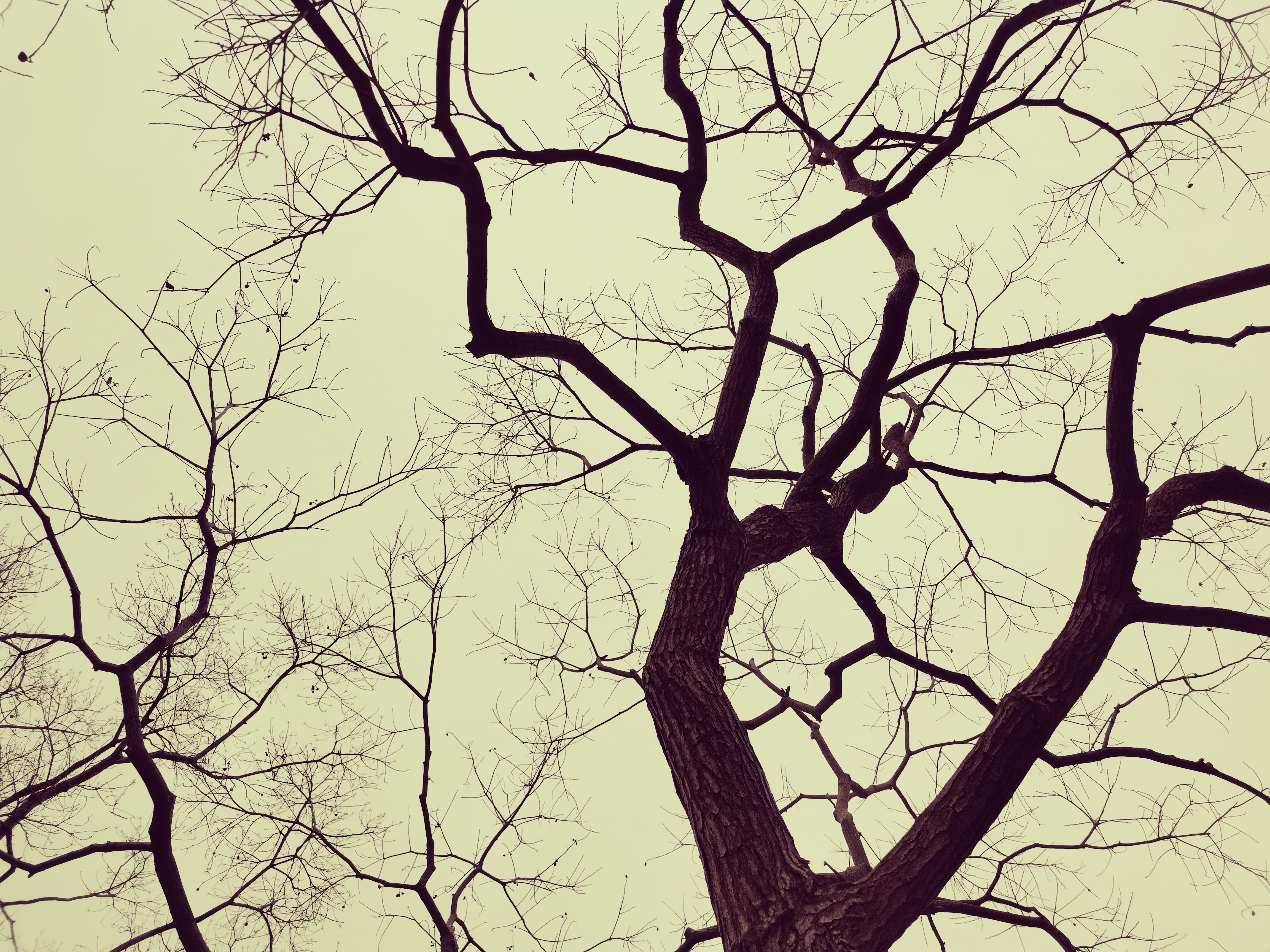 荣耀30S上手体验之工程师奇遇记，你没见过的全新生活化测评