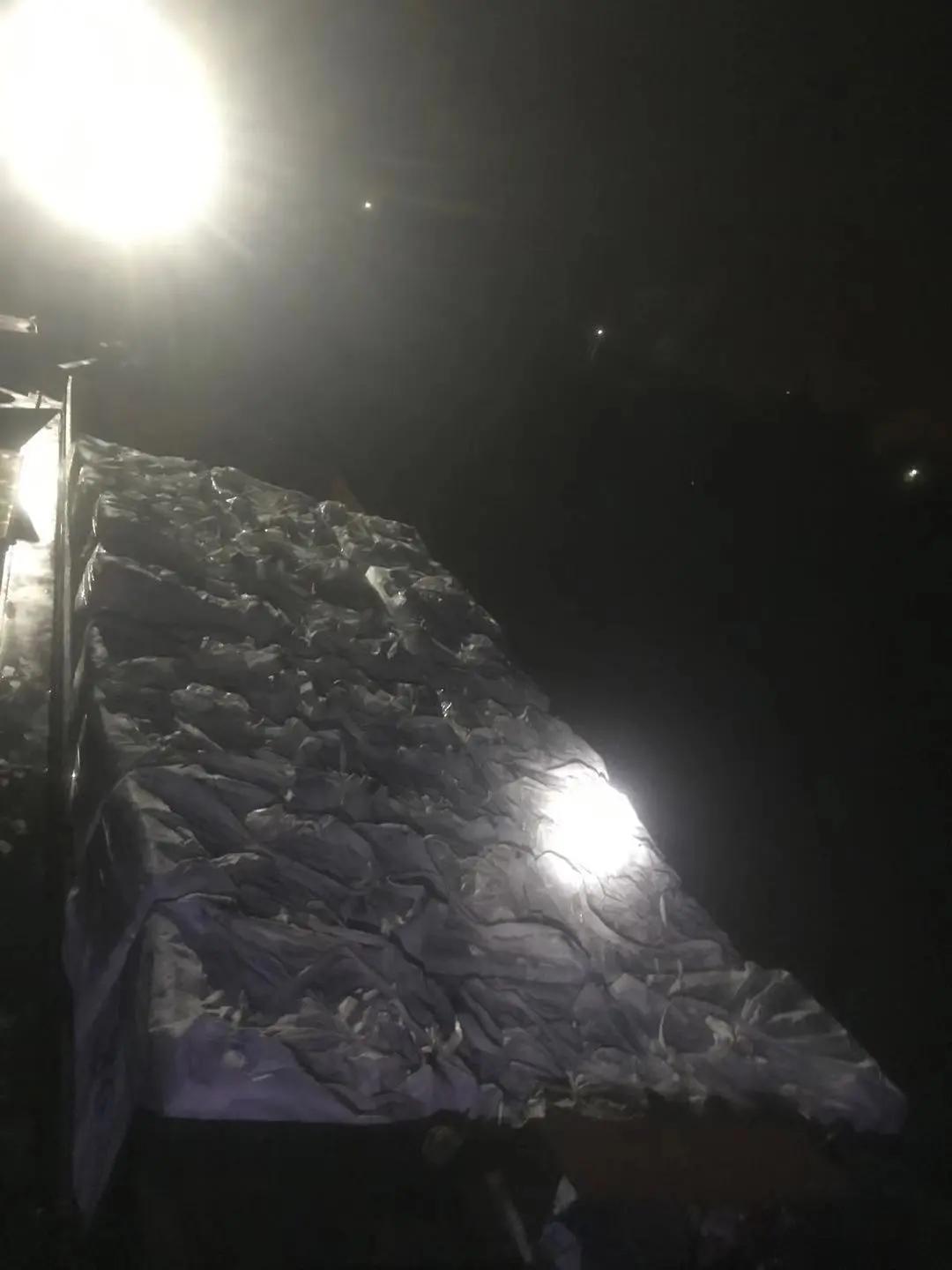 凌晨出击！警方缴获464吨走私冻品！18艘船舶