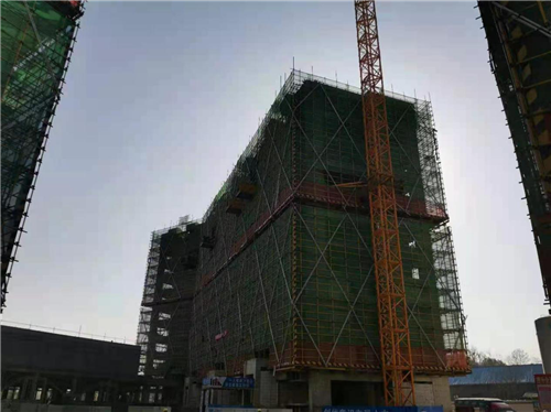 悦隽时代1月家书｜2021牛气腾腾，一起奔向理想家