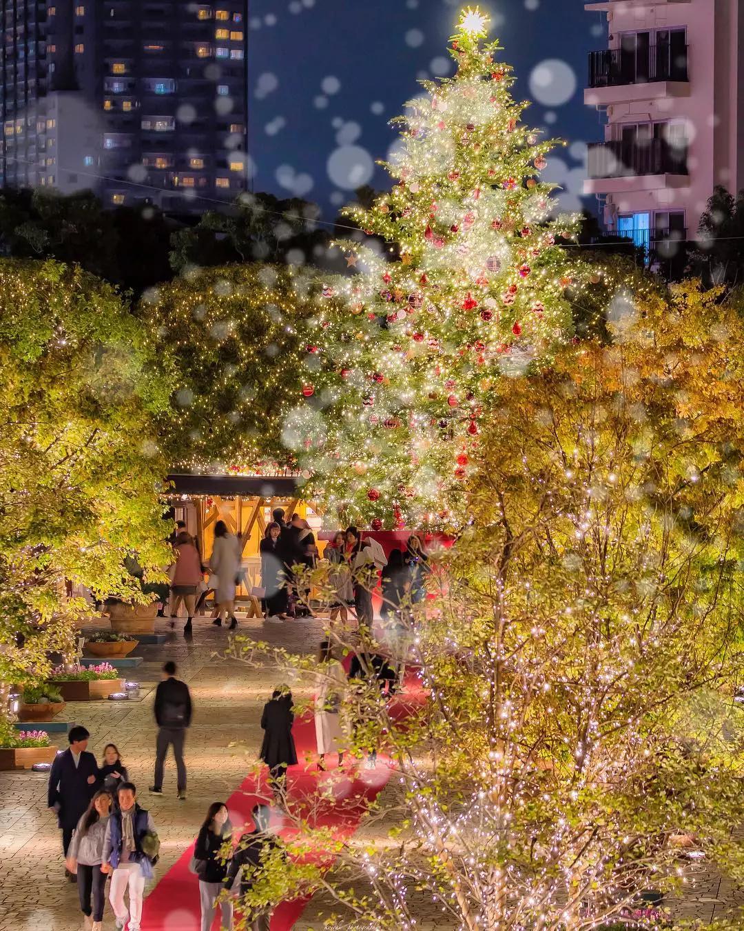 Christmas metre reflects a strategy! Seek hegemony friend circle relies on it