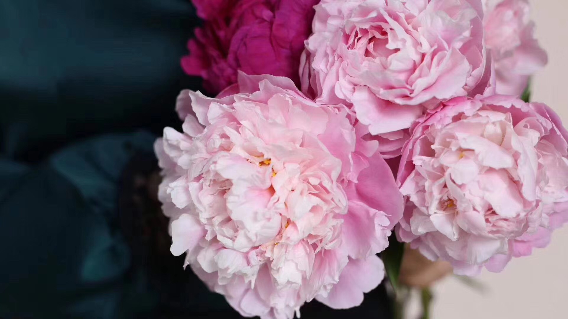 瓦尔登湖翻译8 学霸私房英语笔记 Mdeditor