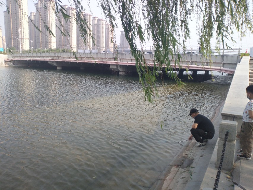 郑州郊区公园，依湖而建，河流直穿公园，适合野钓，野炊，免门票