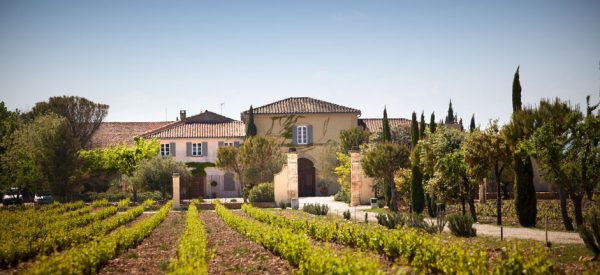 罗纳河谷：法国最大的法定红葡萄酒产区