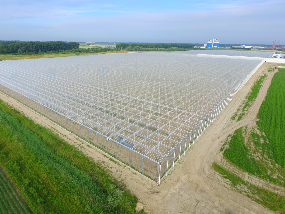 计划做现代设施农业要了解的几种温室大棚样式