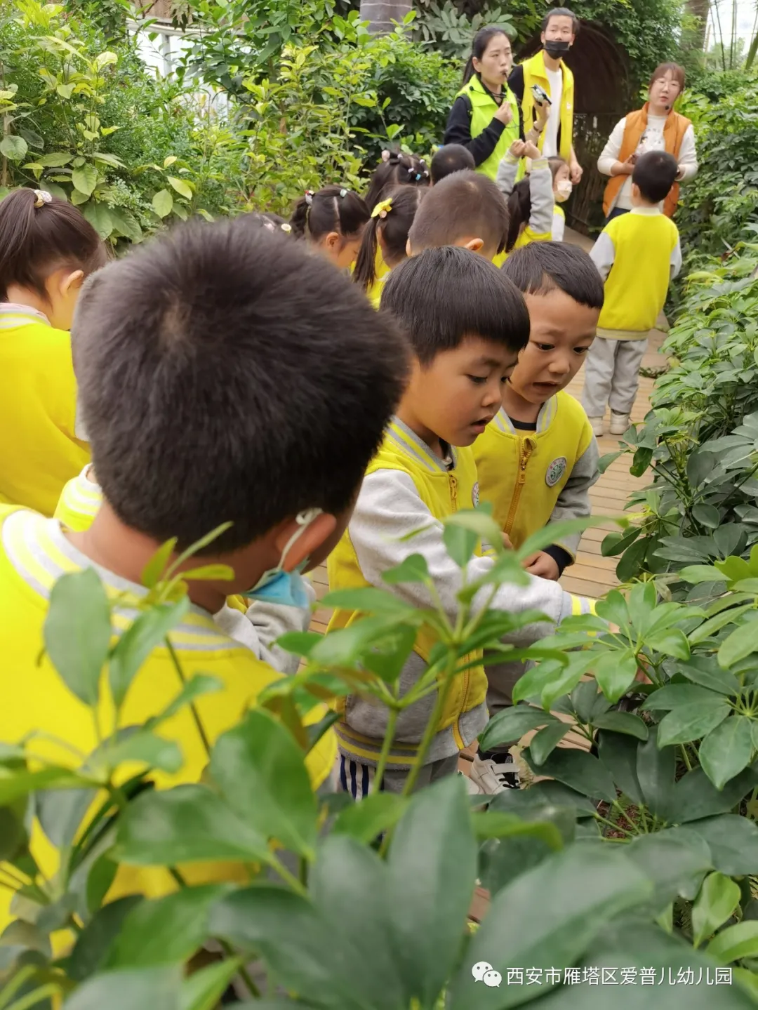 ����عˡ����ն��׶�԰�а�����ѧ��ʵ�߽���δ��