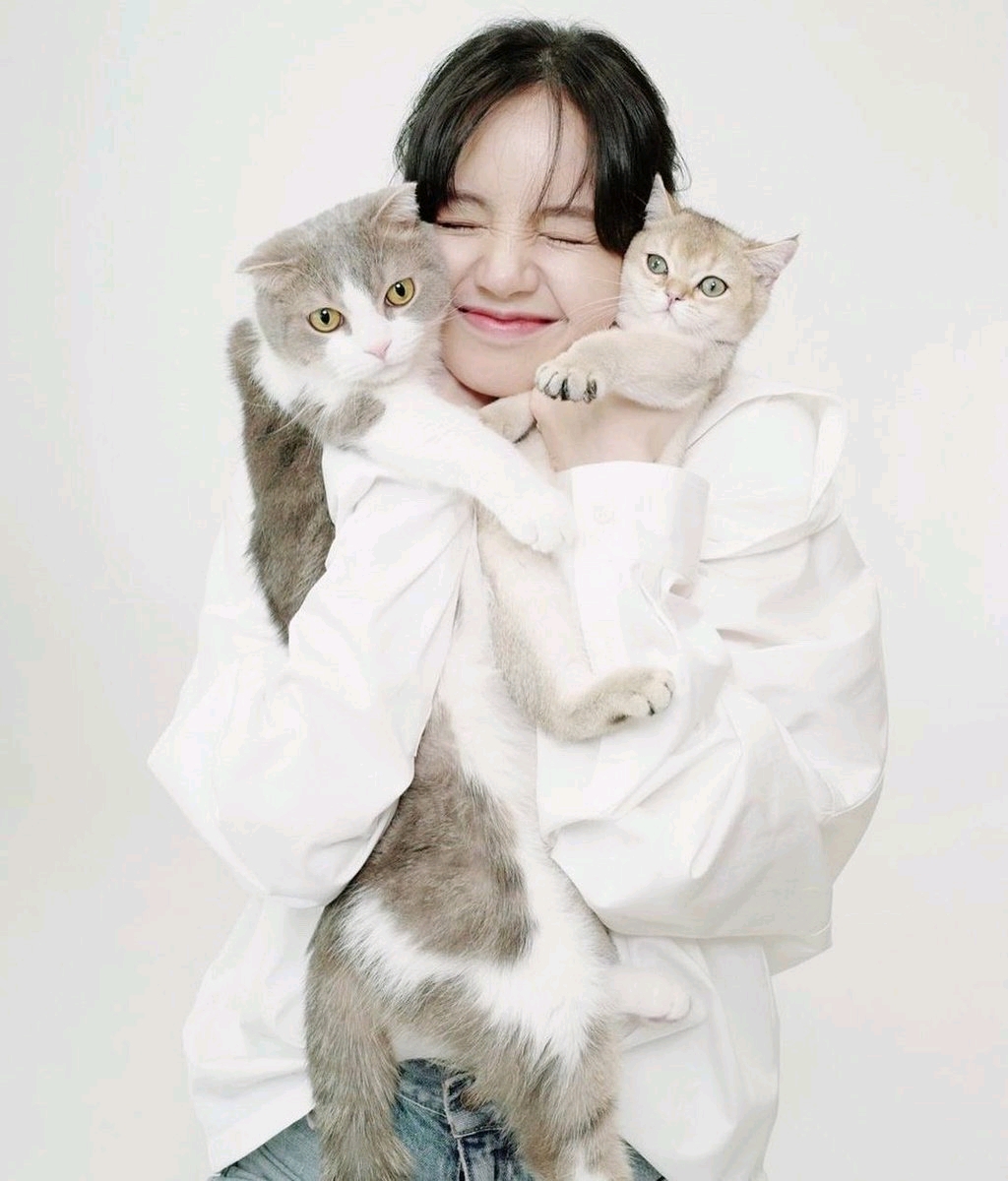 因為金希澈不推薦領養遺棄犬發言，LISA花錢買的動物也成熱議對象