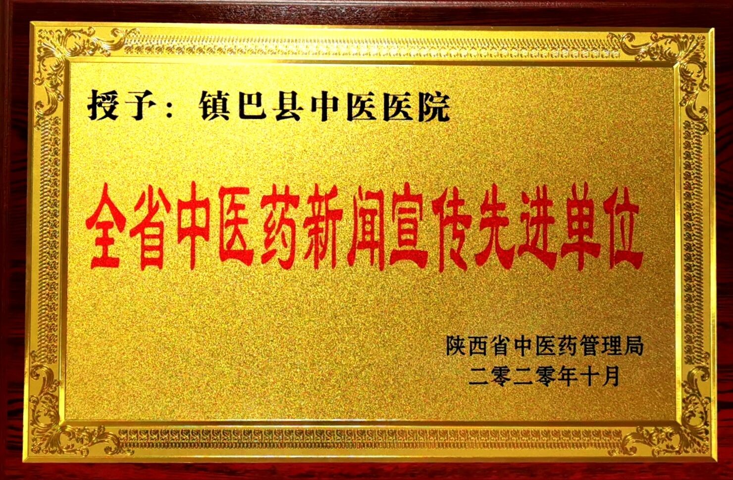 镇巴县中医院荣获全省中医药新闻宣传先进单位