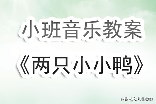 幼儿园小班音乐教案《两只小小鸭》含反思