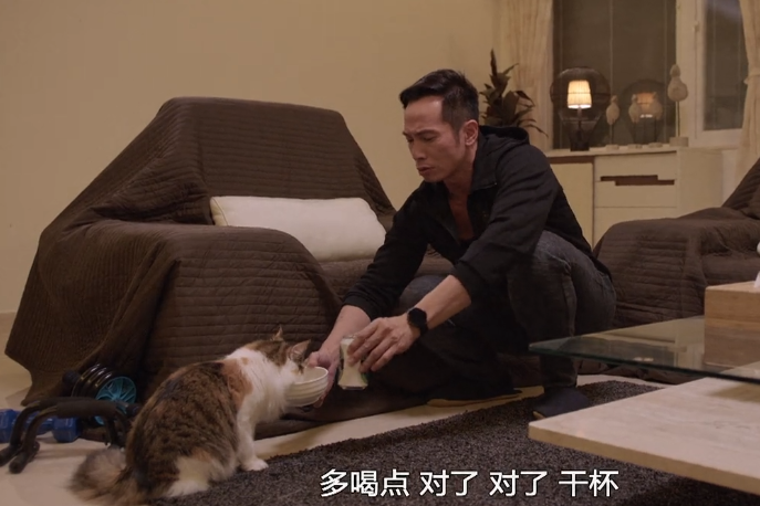 宣萱、陈豪晚节不保，豆瓣5.3，《陀枪师姐》复出遭降智打击
