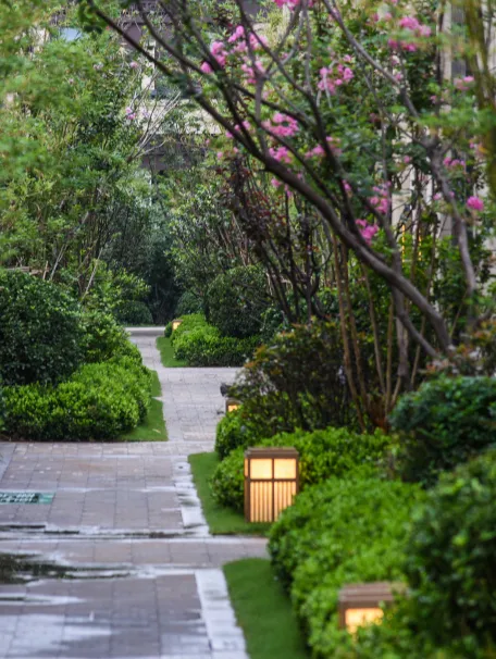 曾经播下的希望种子，此刻已枝繁叶茂