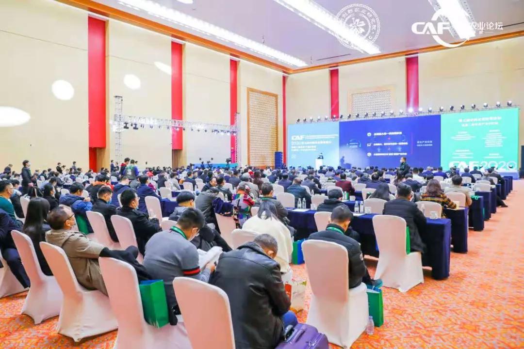 让定心绿茶走出国门，享誉世界