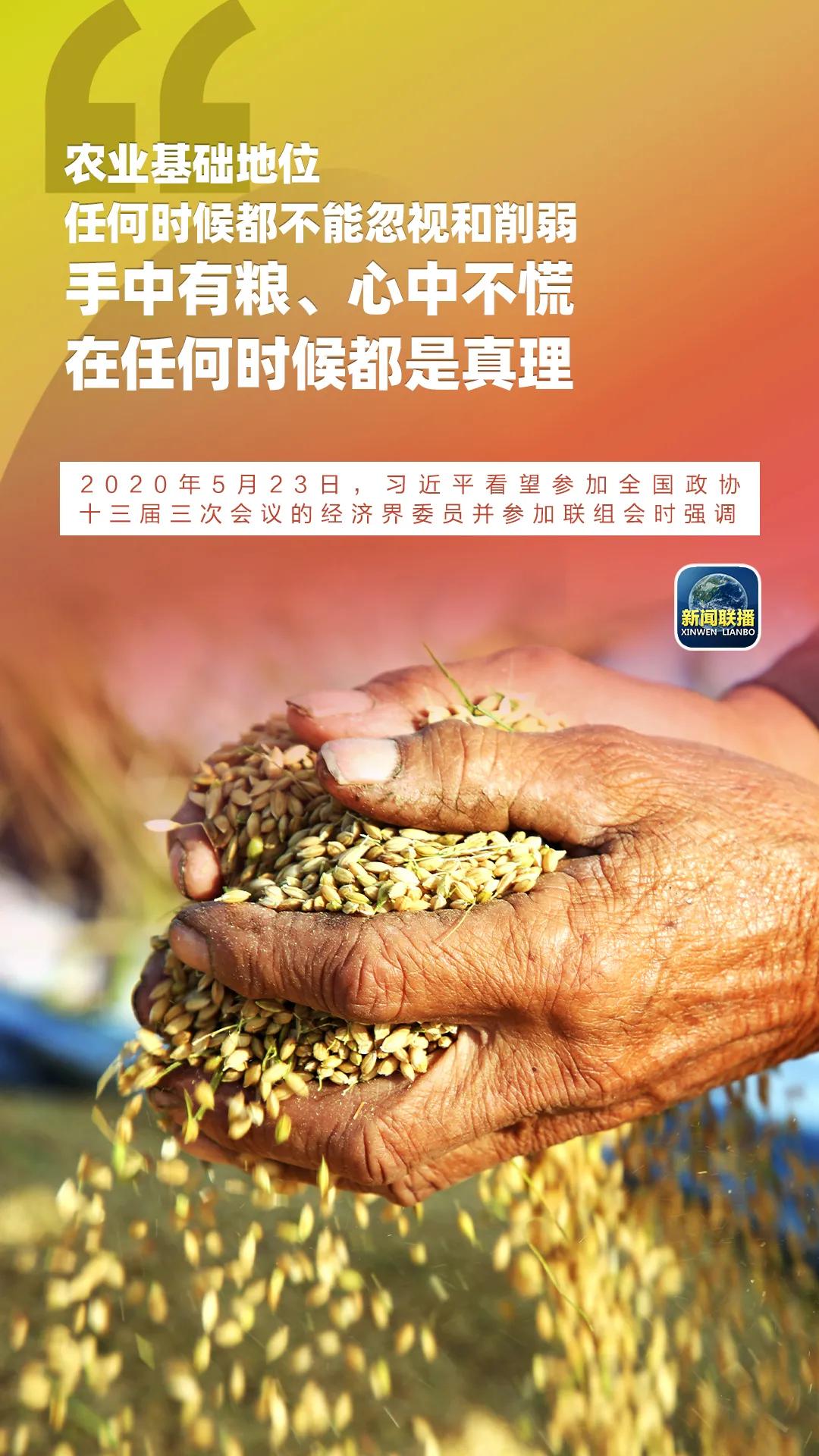 咱村这些事儿，总书记很挂心