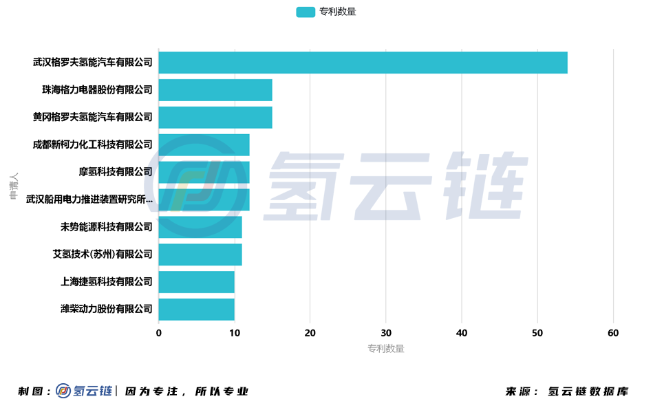 2021氢能与燃料电池专利：格罗夫、中科院大连化物所位列榜首
